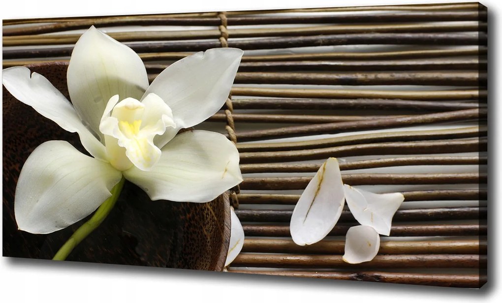Canvas falikép Orchidea 120x60 cm