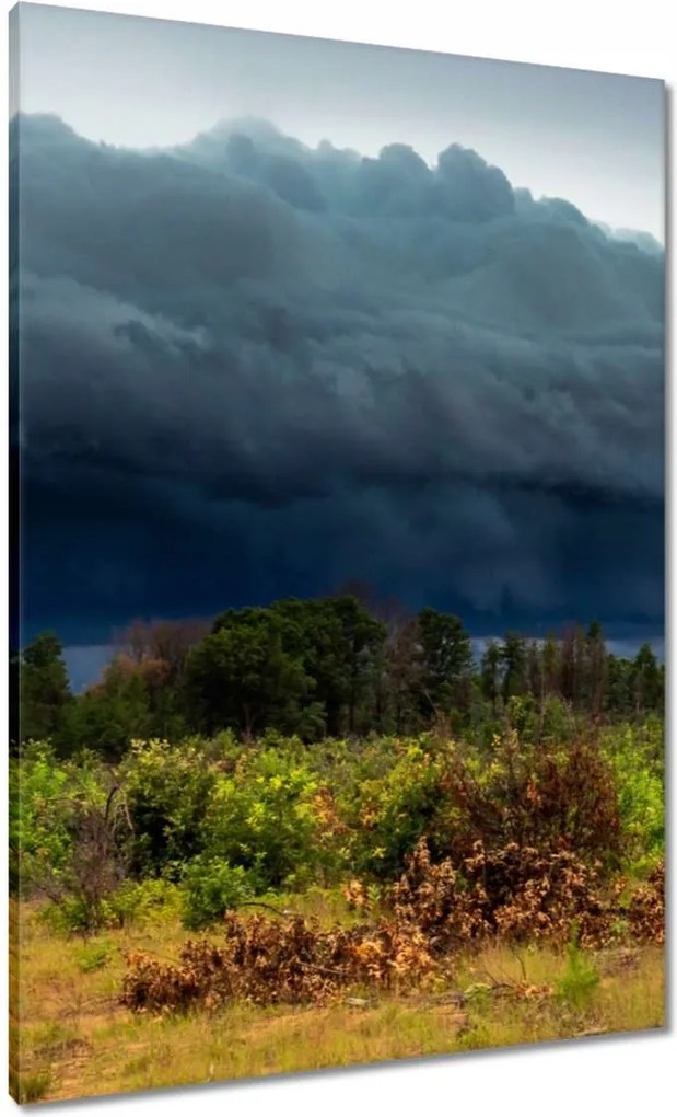 Vászonkép 70x100 Ősz Hegyek Folyó Fák