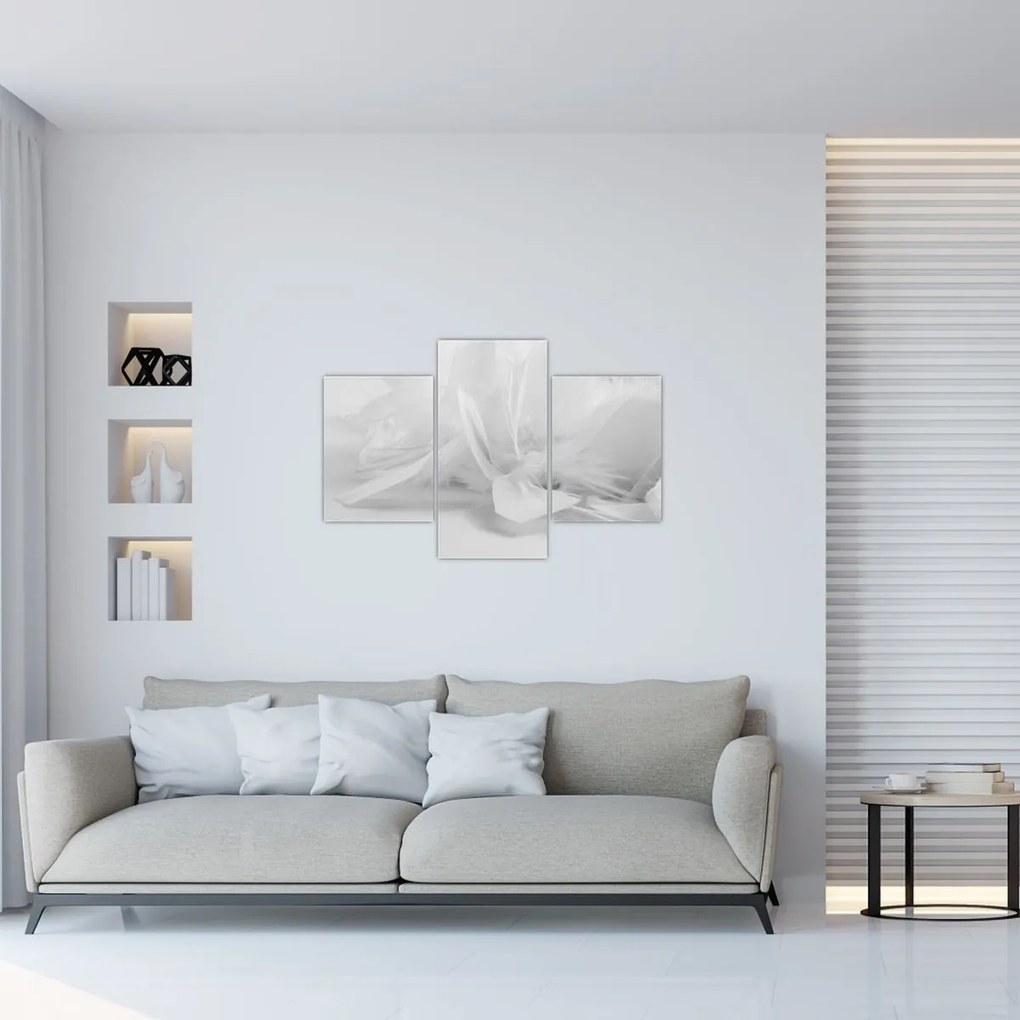Kép - Tollak (90x60 cm)
