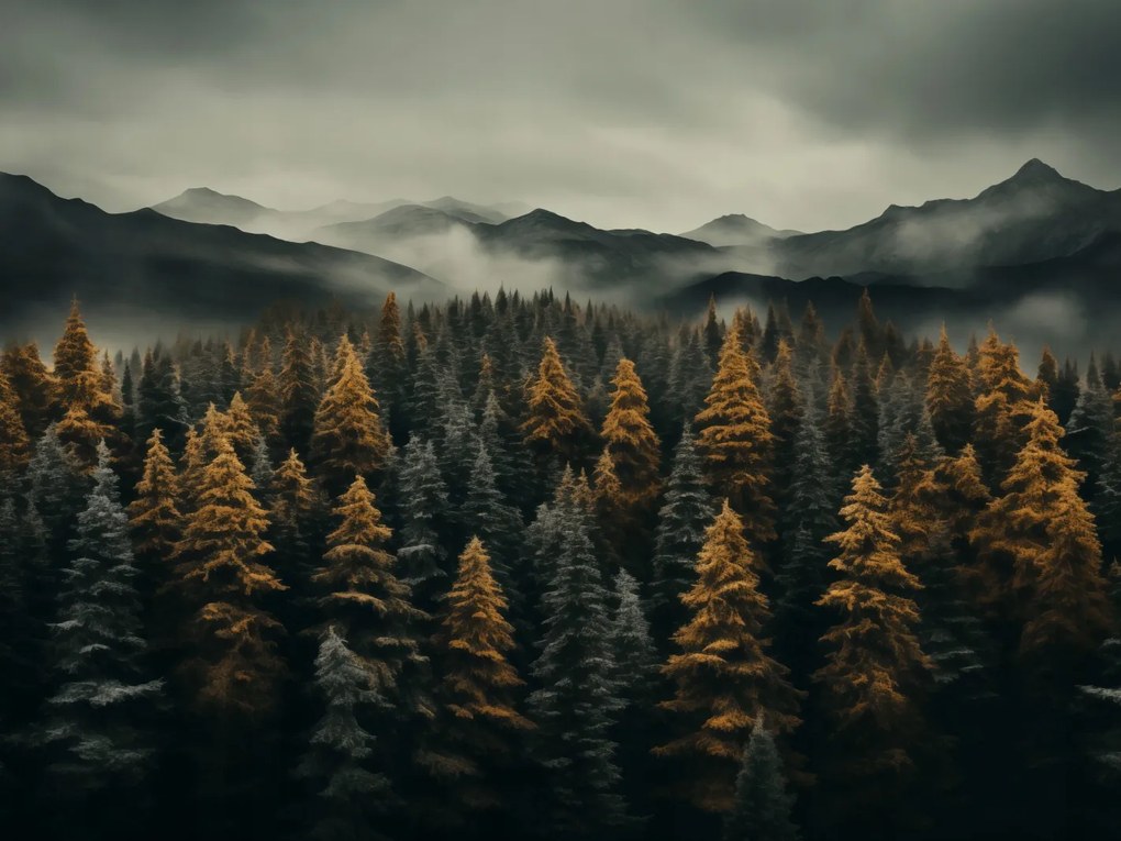 Poszter 80x60cm Ködös reggel