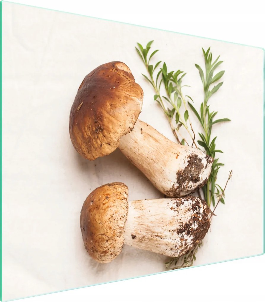 Üveg Vágódeszka 52x40 Gomba Edzett Üveg