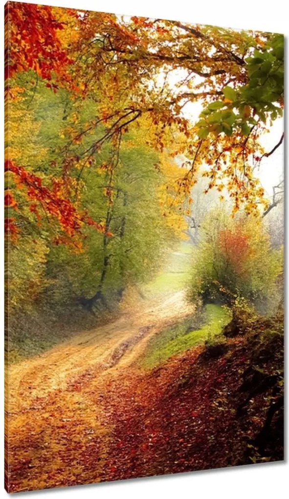 Festmények 80x120 Tájkép