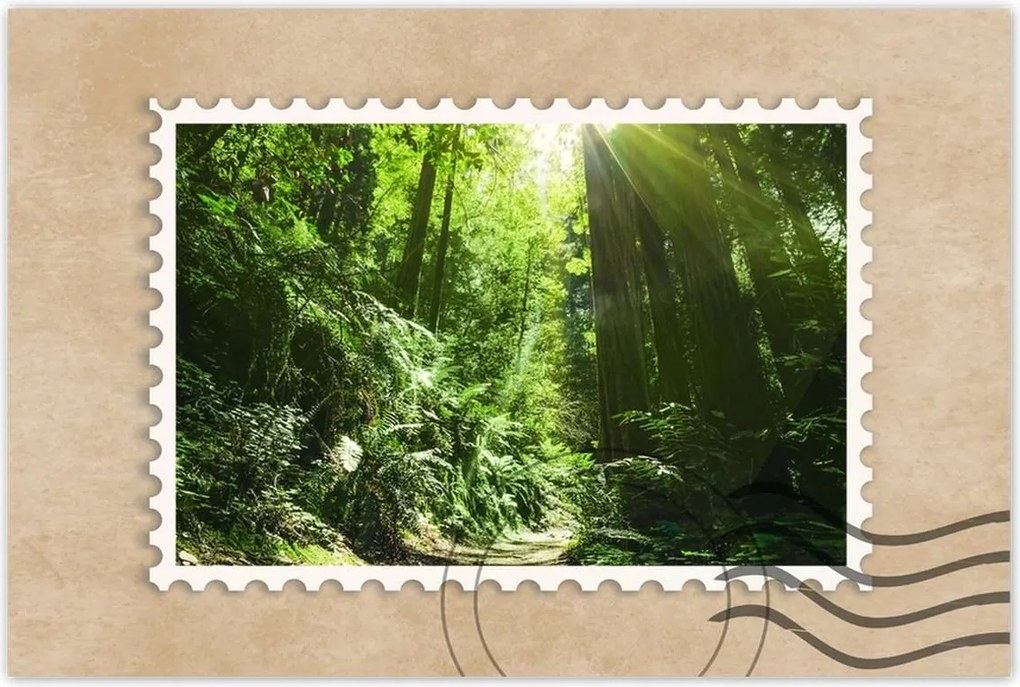 Poszterek 60x40 Varázslatos erdő Tájkép