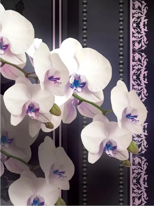 Fotótapéta Fehér orchideák sötét vinil háttérrel 184x254 +ragasztó