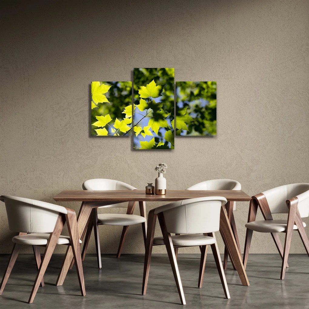 Kép - juhar levelek (90x60 cm)