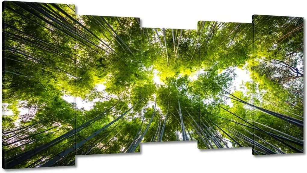 Vászonkép 150x80 Bambusz trópusi erdő