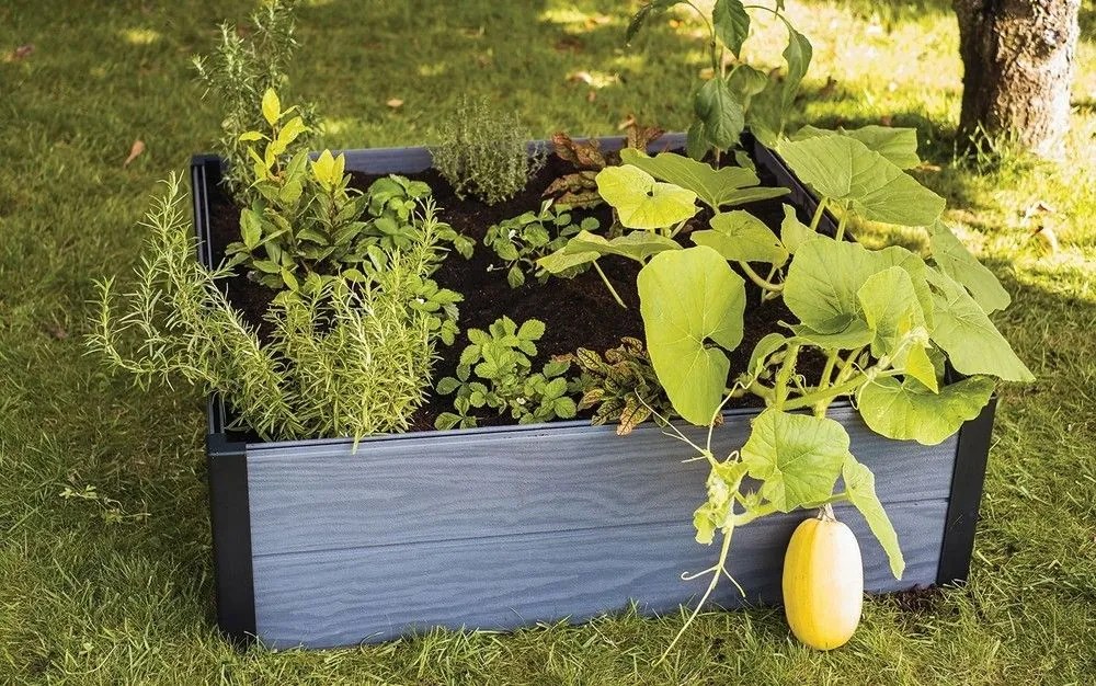 Keter Kerti virágláda MAPLE SQUARE szürke