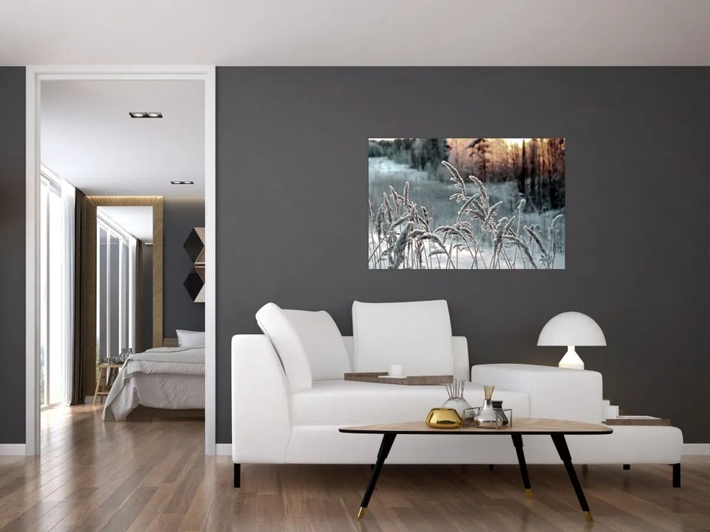 Kép - Fagyott rét (90x60 cm)