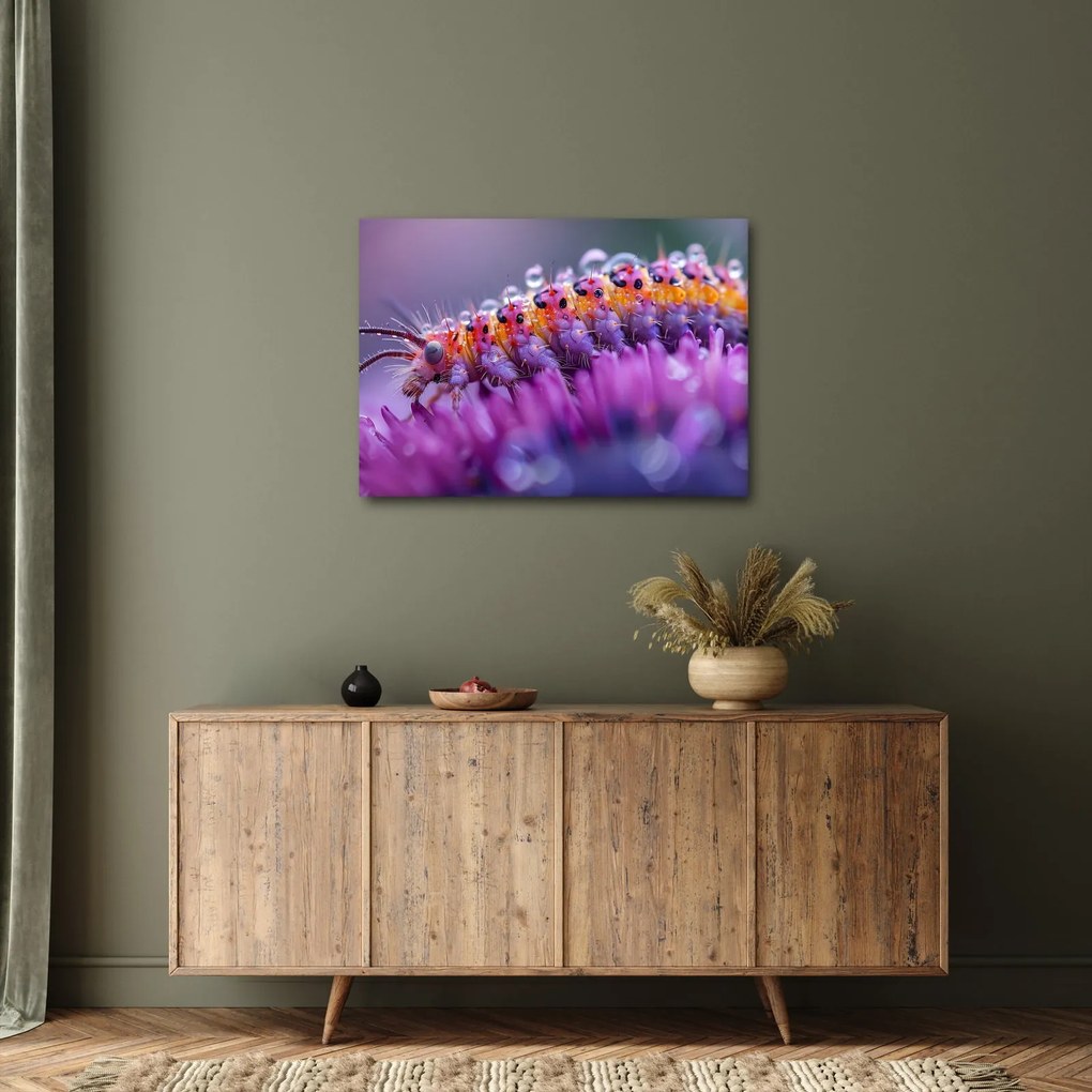 Kép - Caterpillar (70x50 cm)