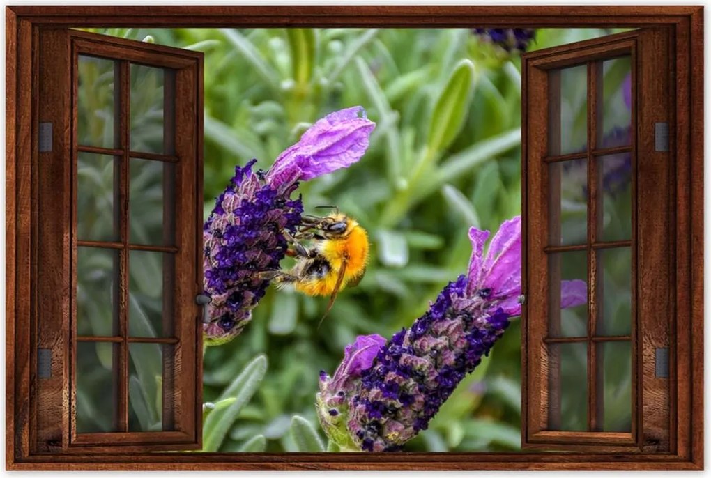 Poszterek 90x60 Levendula világ