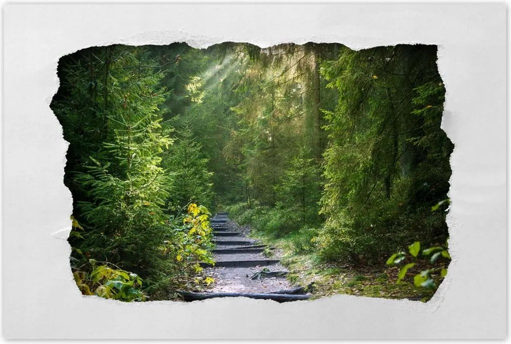 Poszterek 60x40 Tájkép