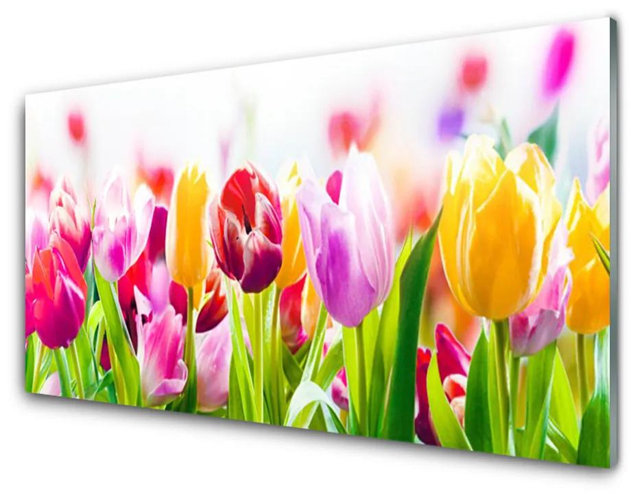 Üvegkép tulipán virágok 100x50 cm