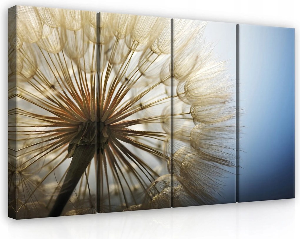 Vászonkép 120x80 Pitypang mag pehely könnyedség természet nyugalom alvás