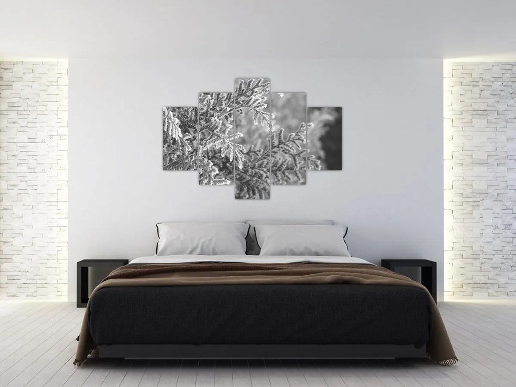 Kép - Lucfenyő erdő (150x105 cm)