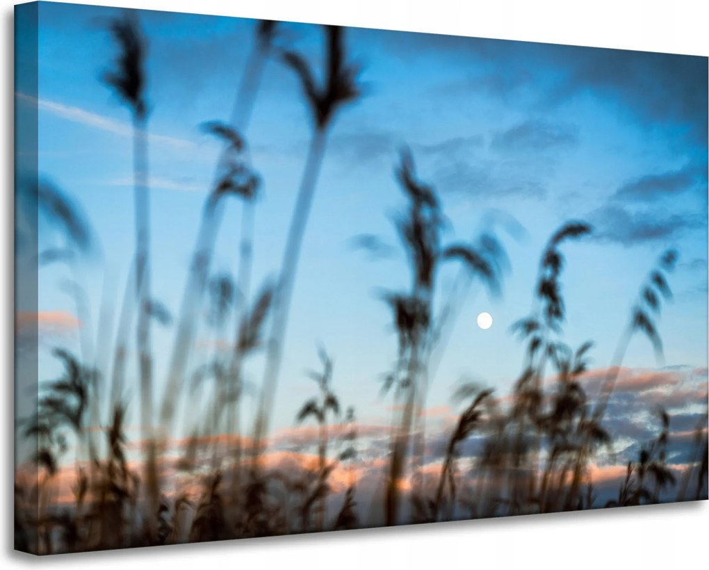 Vászonkép Természet Mező Rét Napfelkelte 90x60