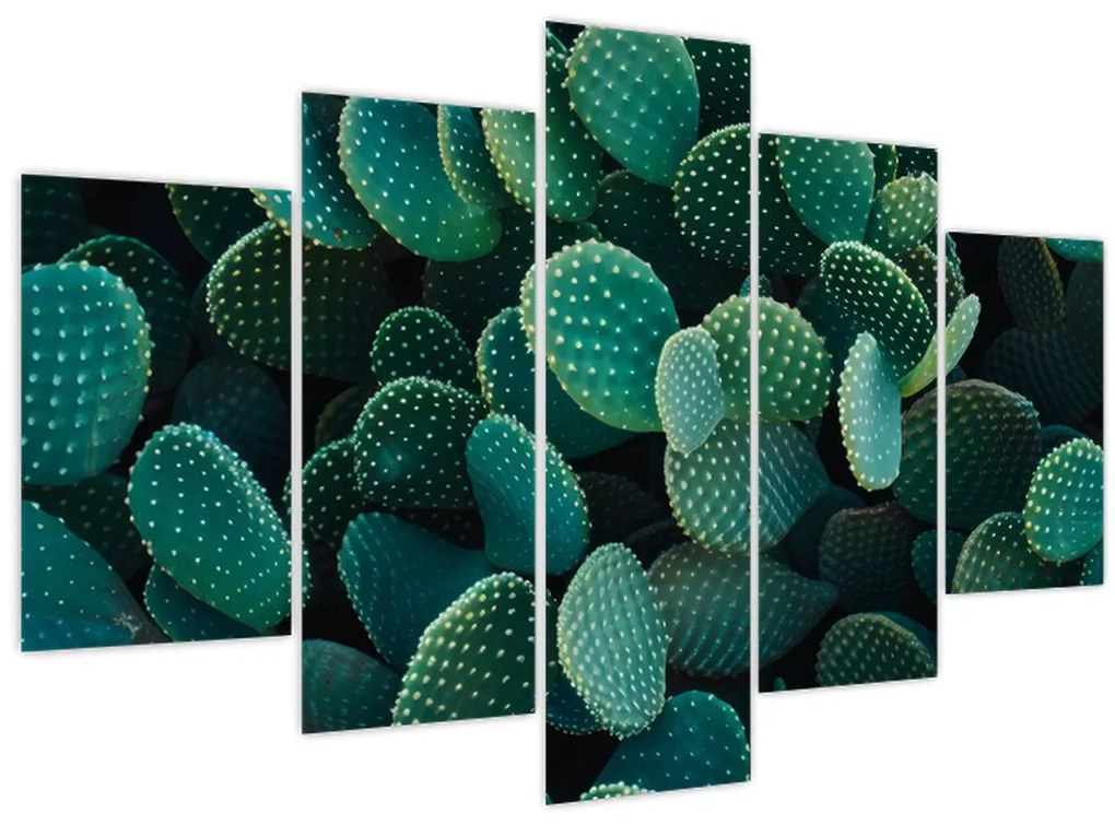 Kép - Opuntia (150x105 cm)