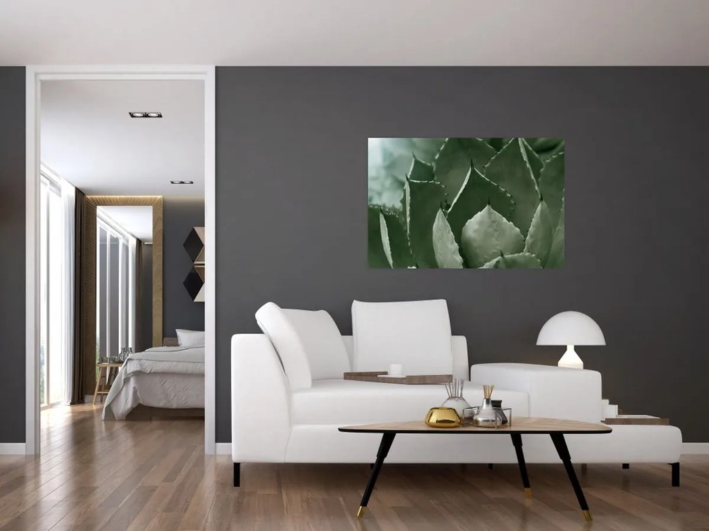 Kép - Zöld agávé (90x60 cm)