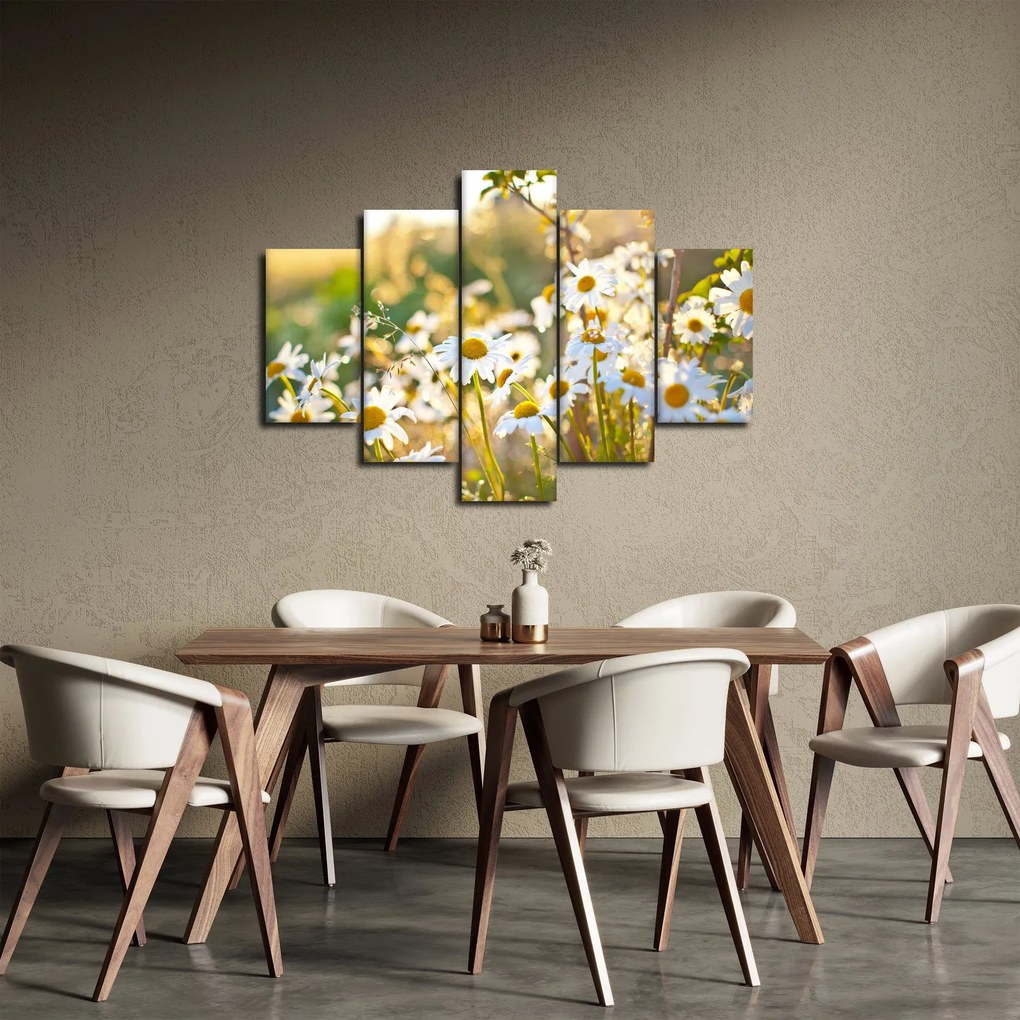Kép - Százszorszépek (150x105 cm)