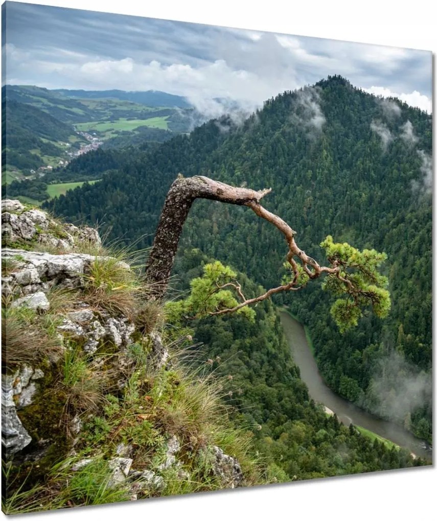 Vászonkép 90x90 Tájkép Sólyomkő