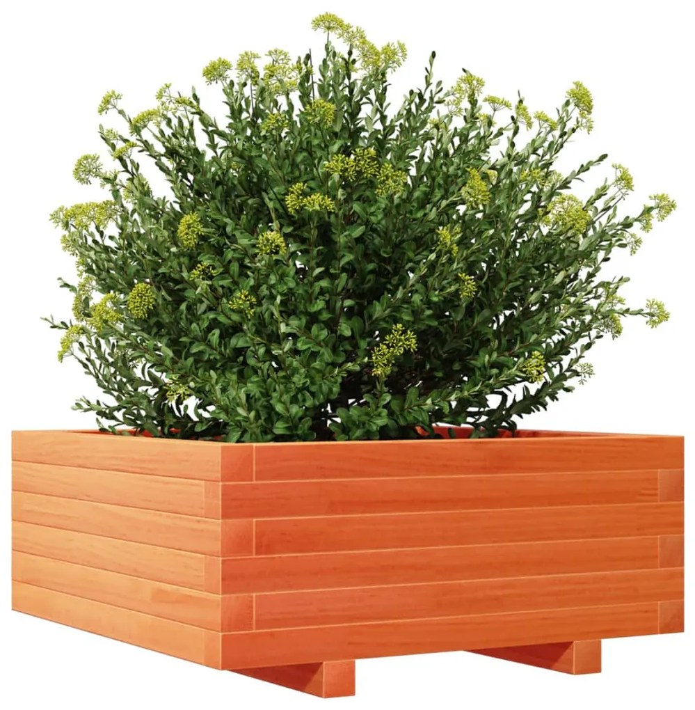 vidaXL viaszbarna tömör fenyőfa kerti virágláda 60 x 60 x 26,5 cm