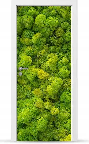 Furnér Kültéri Ajtó matrica Bútor öntapadós Könnyű Ragasztás