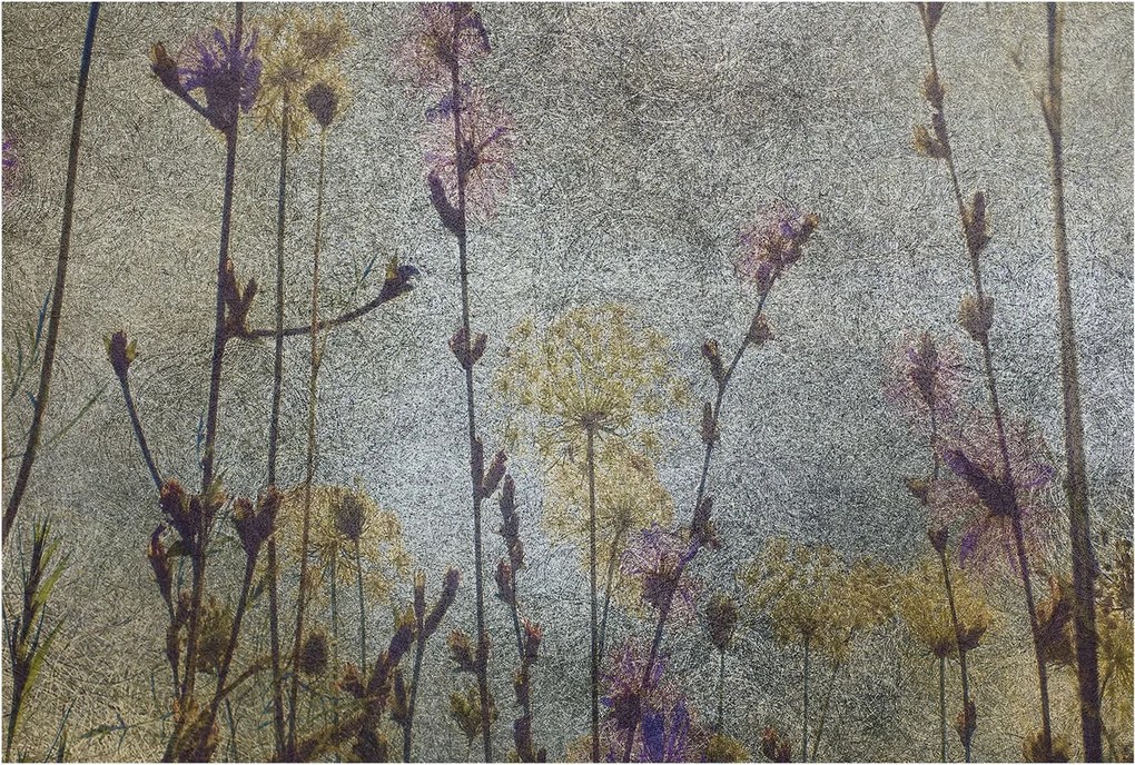 Dekoratív Fotótapéta Hálószobába Mezei virágok 104x70 Ragasztó