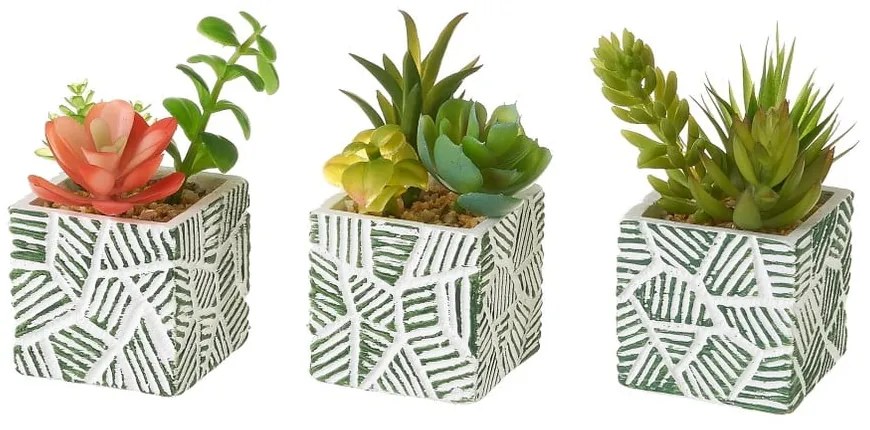 Műnövény szett 3 db-os (magasság 12 cm) Cactus – Casa Selección