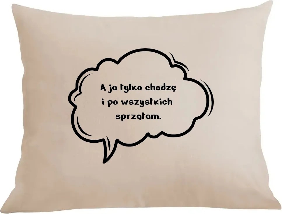 Párna párnahuzat Mindenkit takarítok