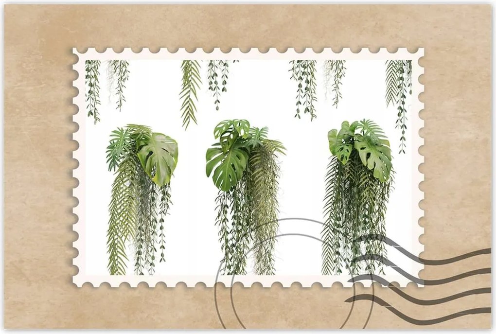 Poszter 60x40 Monstera Lyukas levelek