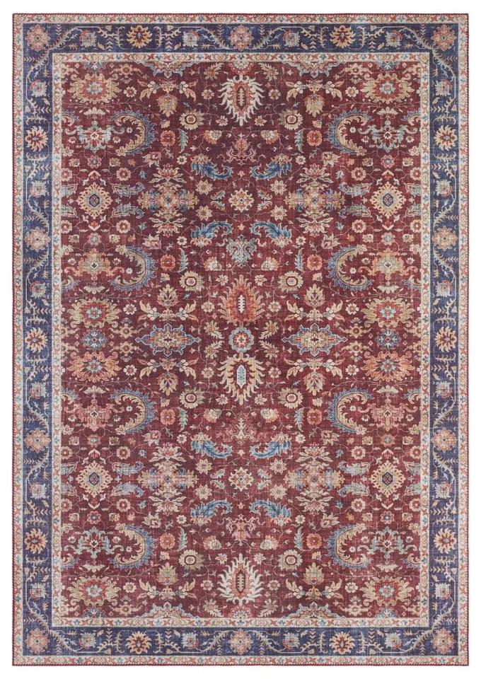 Vivana borvörös szőnyeg, 160 x 230 cm - Nouristan