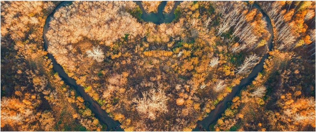 Kép - Szív alakú folyó (120x50 cm)