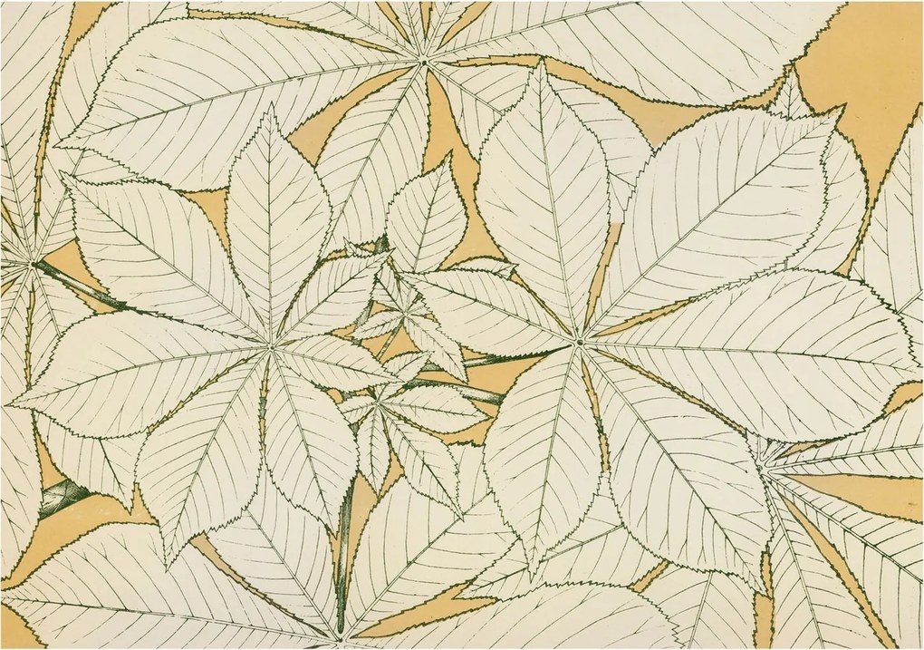 Flizelin fotótapéta Flizelin Design Gesztenye levelek 312x219