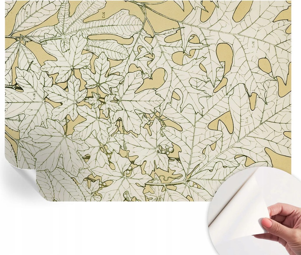 Design fali fotótapéta Öntapadós falevelek 312x219 cm