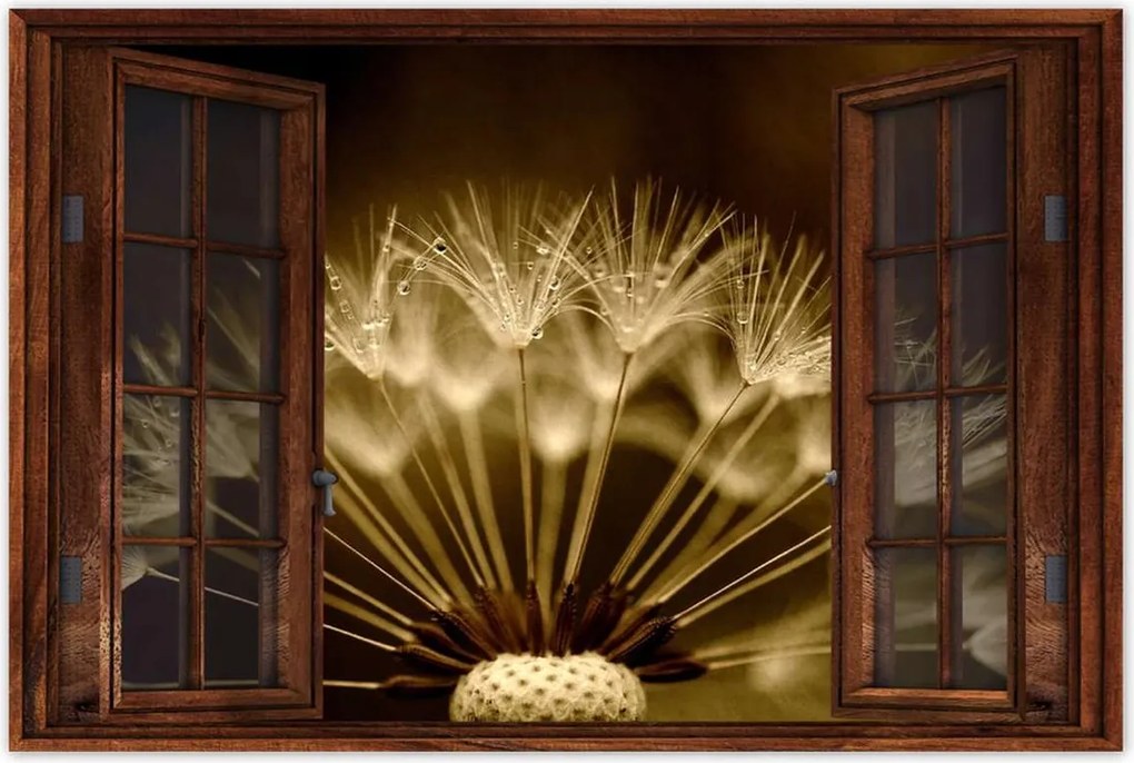 Poszterek 120x80 Pitypang Virág Virágok