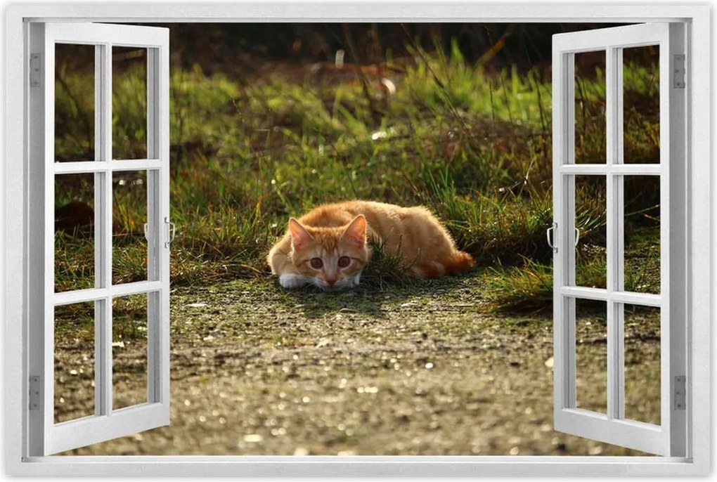 Poszterek 60x40 Cica Cicák