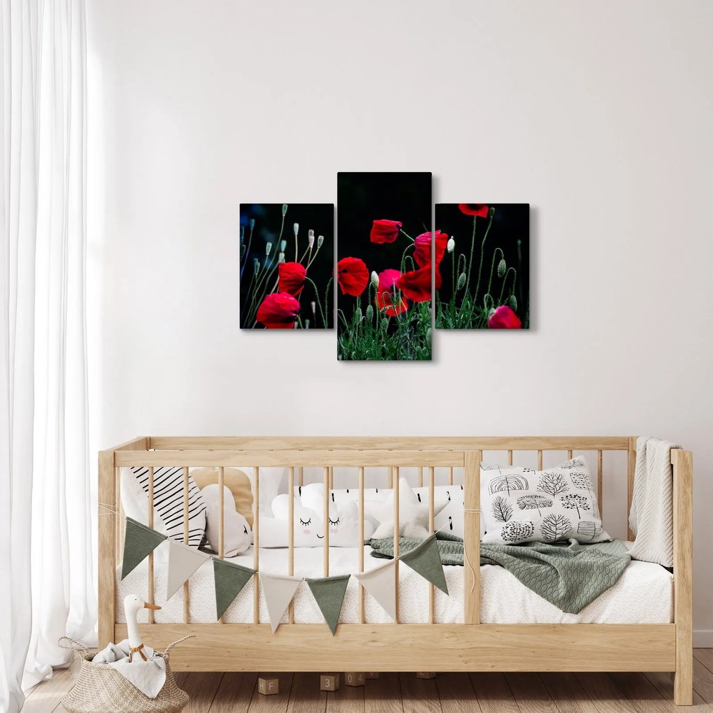 Kép - Pipacsok tánca (90x60 cm)