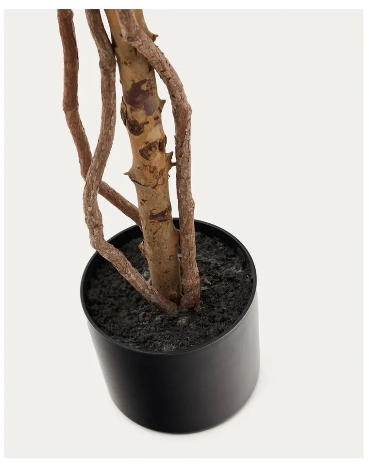 Fikusz műnövény (magasság 180 cm) Ficus – Kave Home