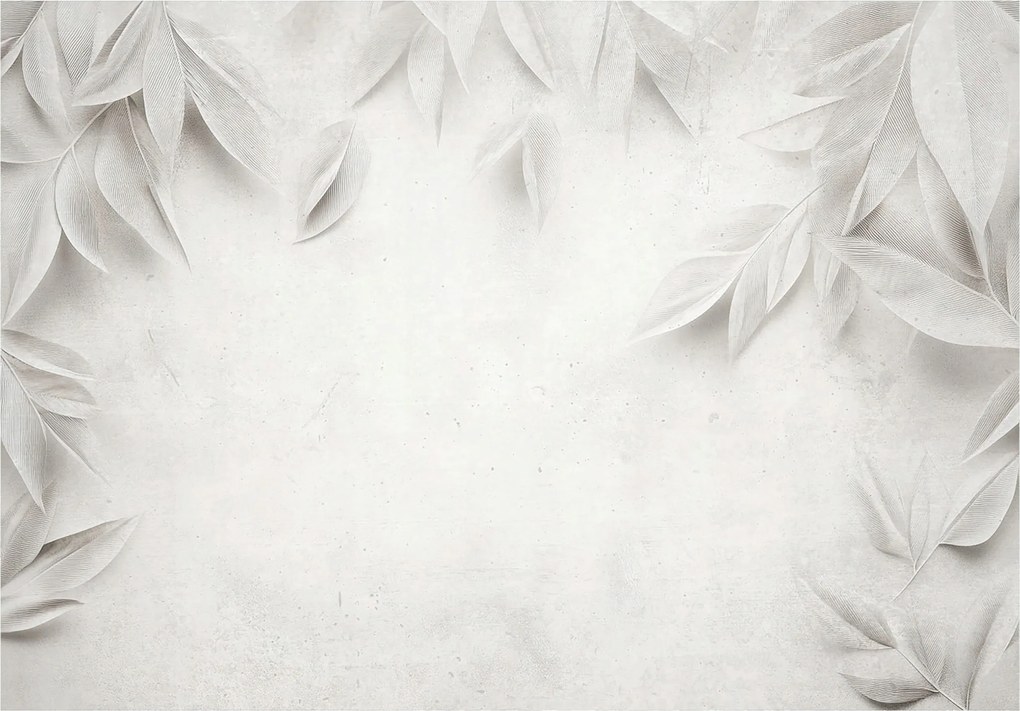 Fotótapéta Finom Tollak Absztrakt Természet Hálószoba 208x146 +ragasztó