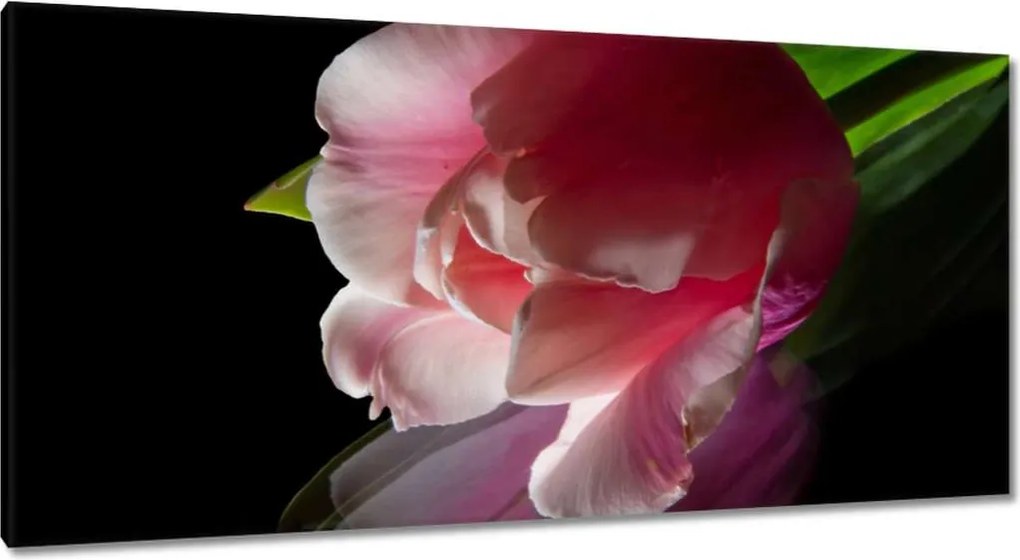 Vászonkép 115x55 Rózsaszín tulipán virág