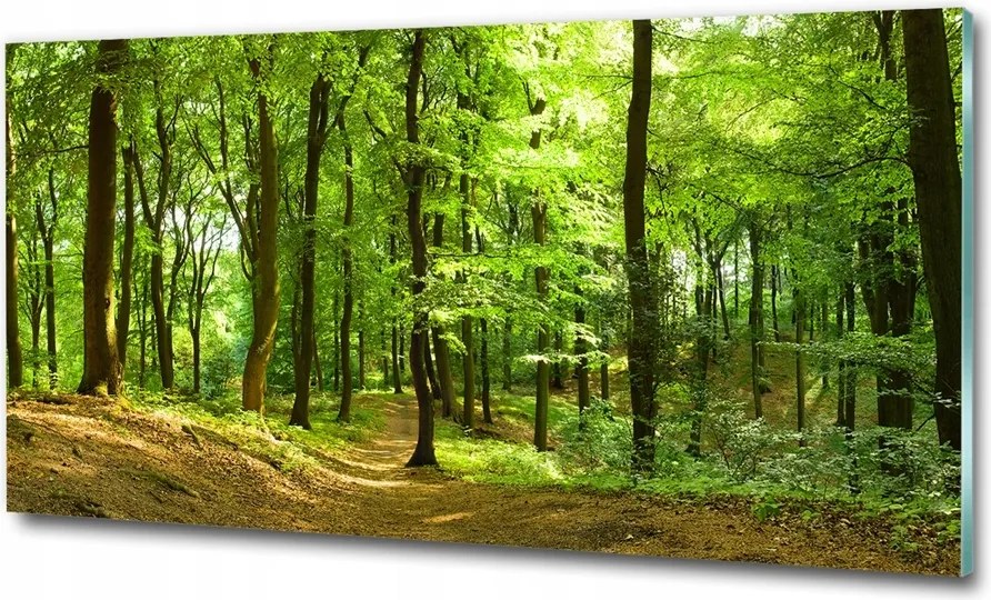 Fotó 100x50 falikép gyönyörű erdei ösvény