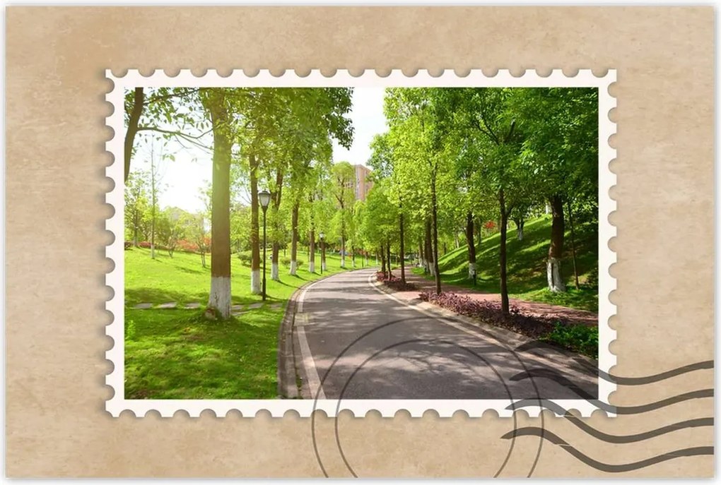 Poszterek 120x80 Ösvény a parkban természet