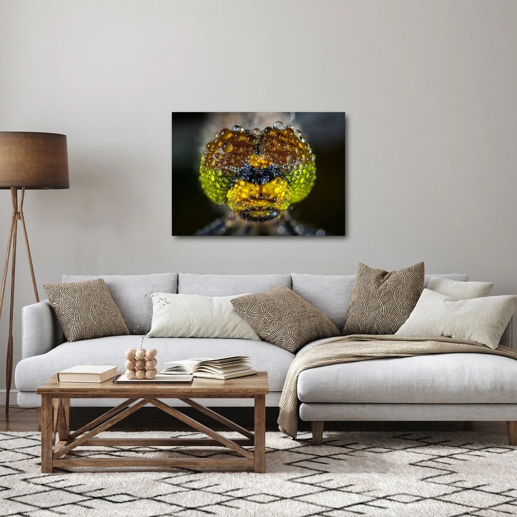Részletes kép a rovar szemről (70x50 cm)