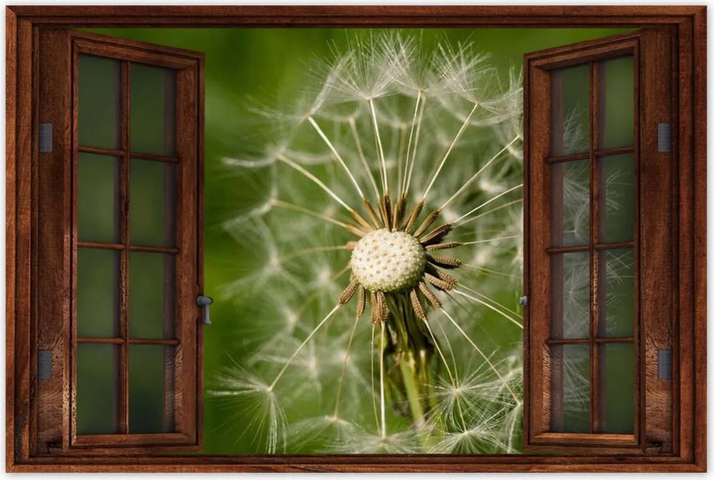 Poszterek 60x40 Pitypang Virág Virágok