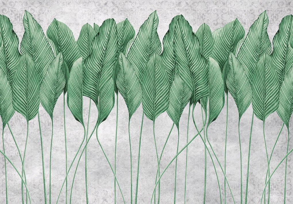 Fotótapéta 3D hatás Levelek pálma virágok 368 x 254