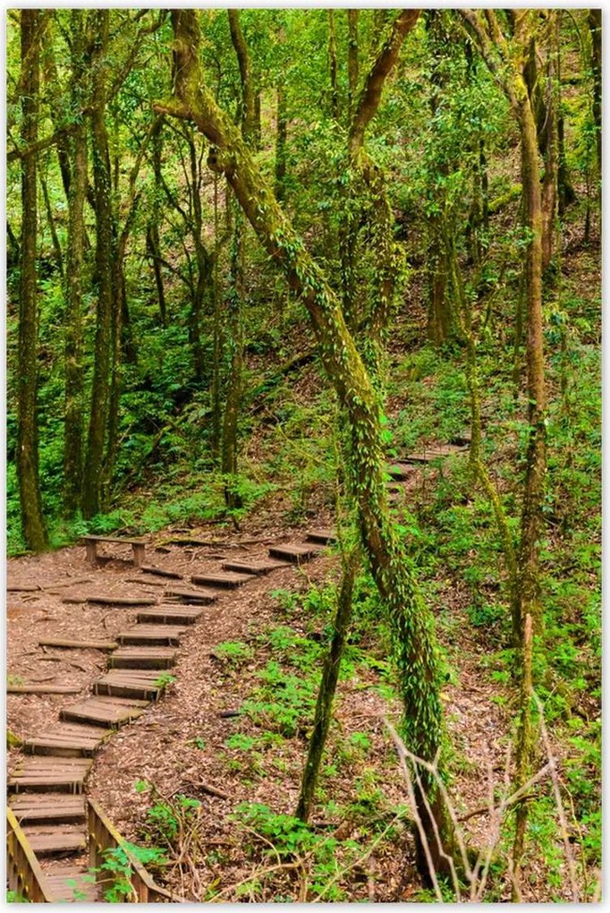 Poszterek 60x90 Gyalogtúra