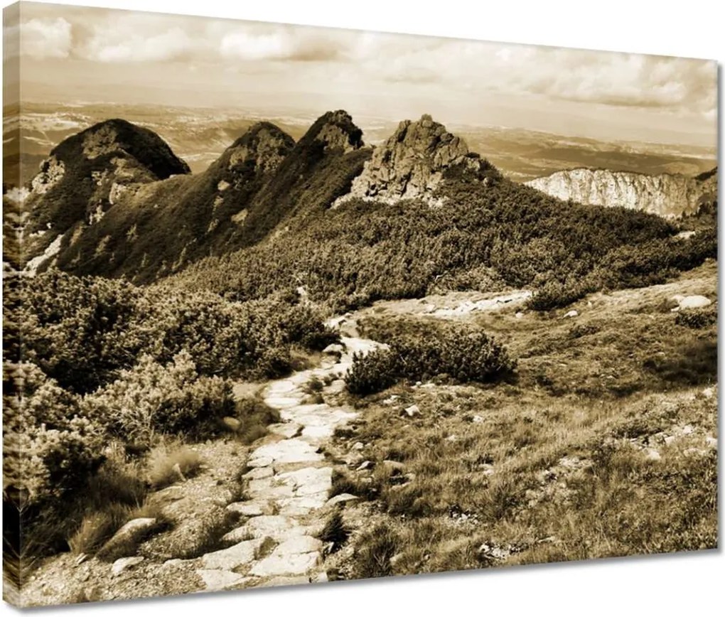 Vászonkép 40x30 Tátra Lengyel hegyek Kilátás