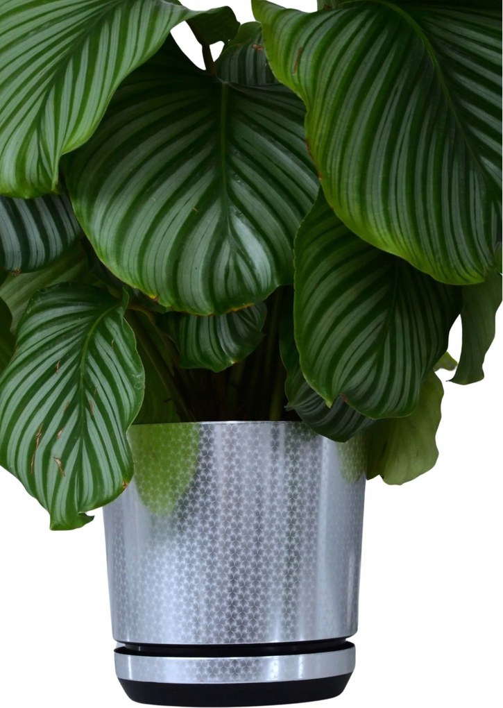 32 cm-es kaspó állvánnyal Ezüst Art Deco gyönyörű fényes minta Nagy Virágtartó