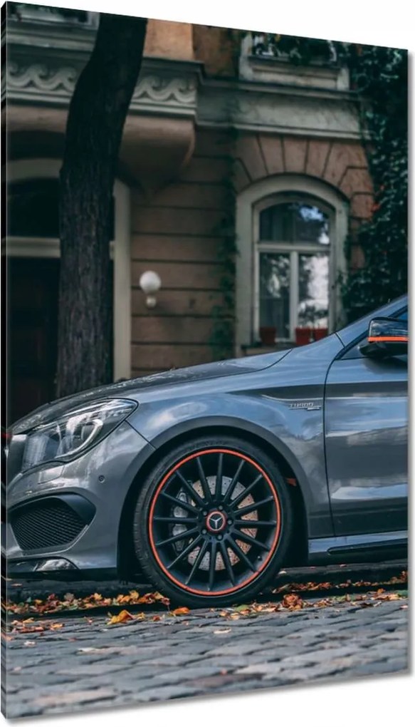 Vászonkép 80x120 Mercedes Autó