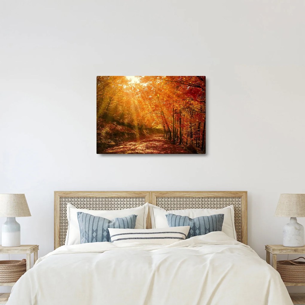 Őszi erdő képe (70x50 cm)