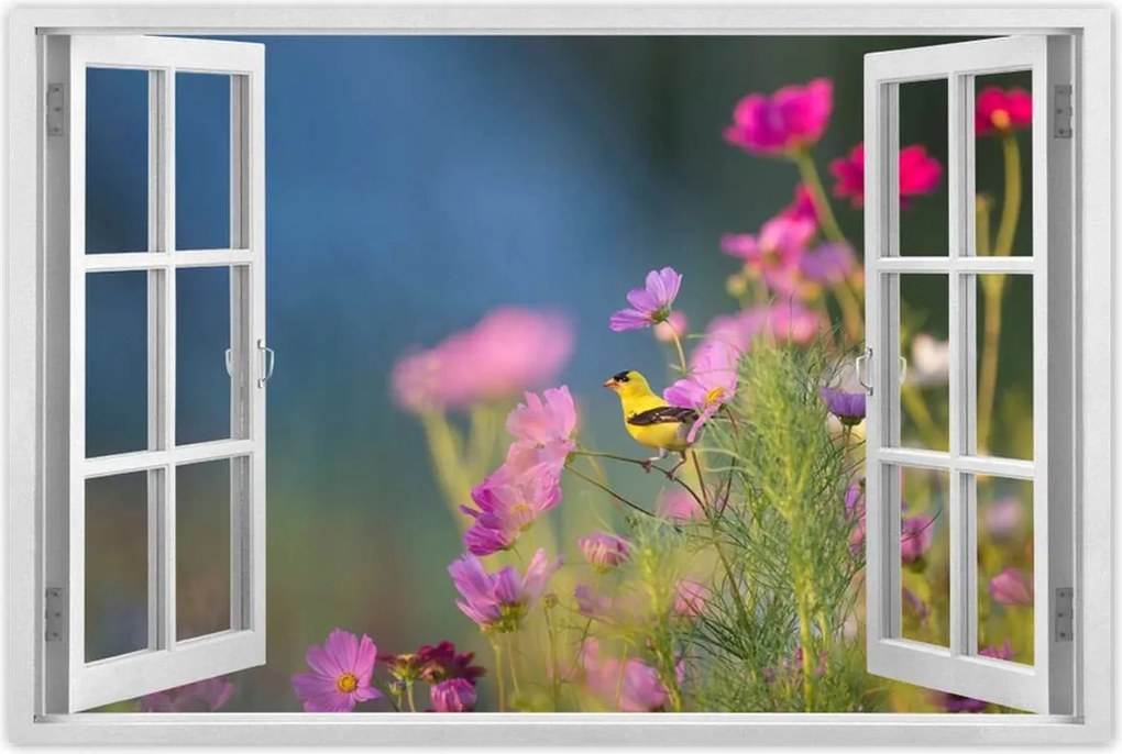 Poszterek 90x60 Madarak